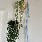 Apartman El Cabo